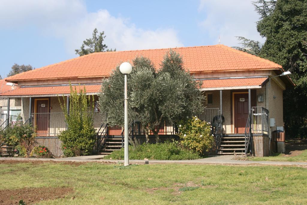 Ein Zivan Village Resort Værelse billede