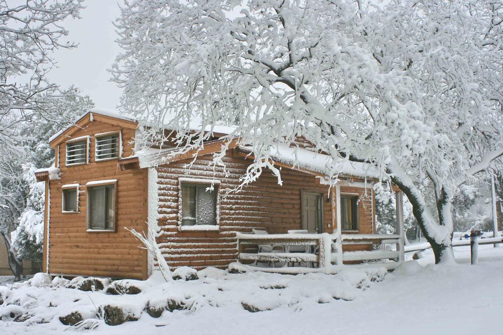 Ein Zivan Village Resort Værelse billede